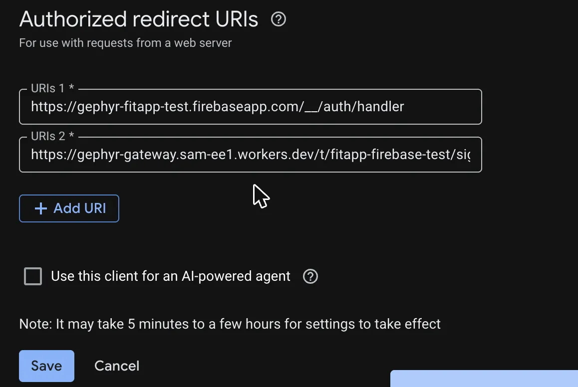 Authorized redirect URIs with Gephyr’s return address added as the second entry